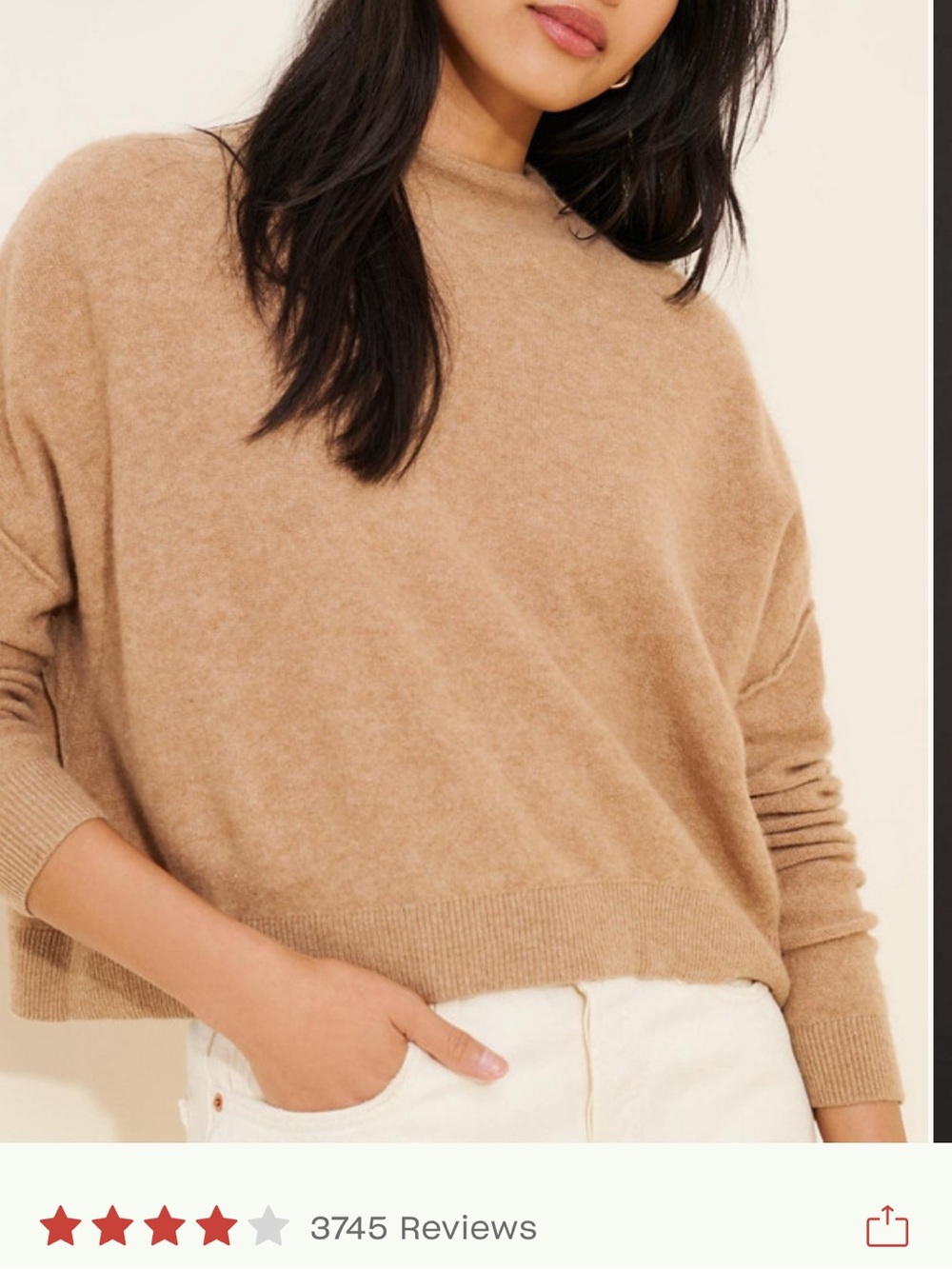 Anthropologie alani cashmere Mock Neck Sweater